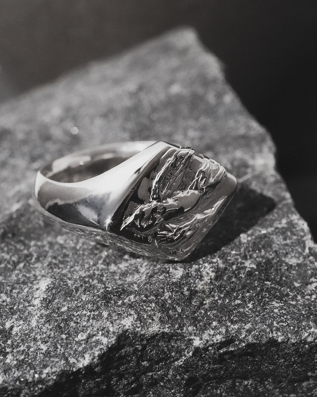 Swallow Signet Ring 【SV925】
