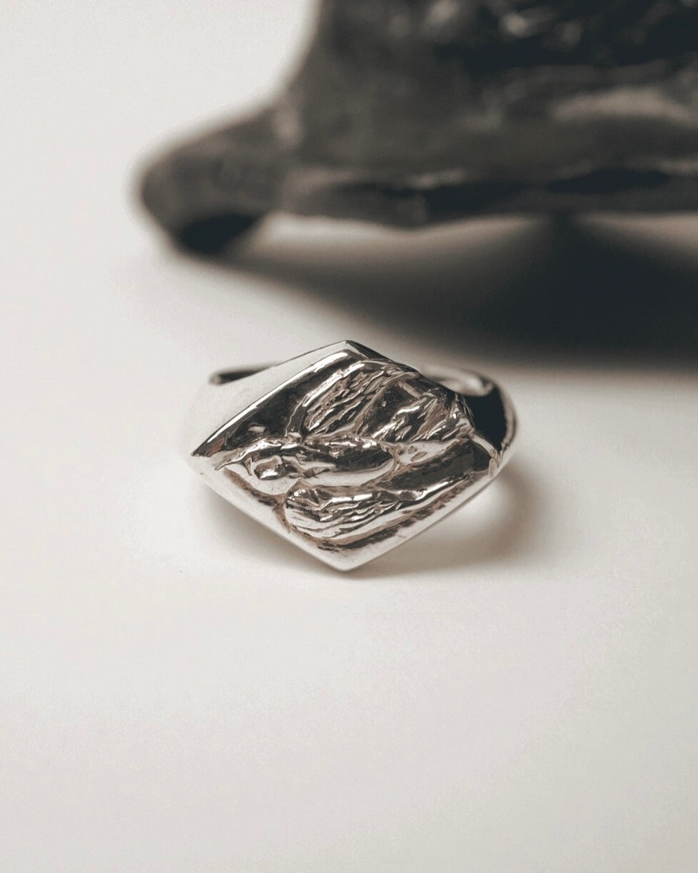 Swallow Signet Ring 【SV925】