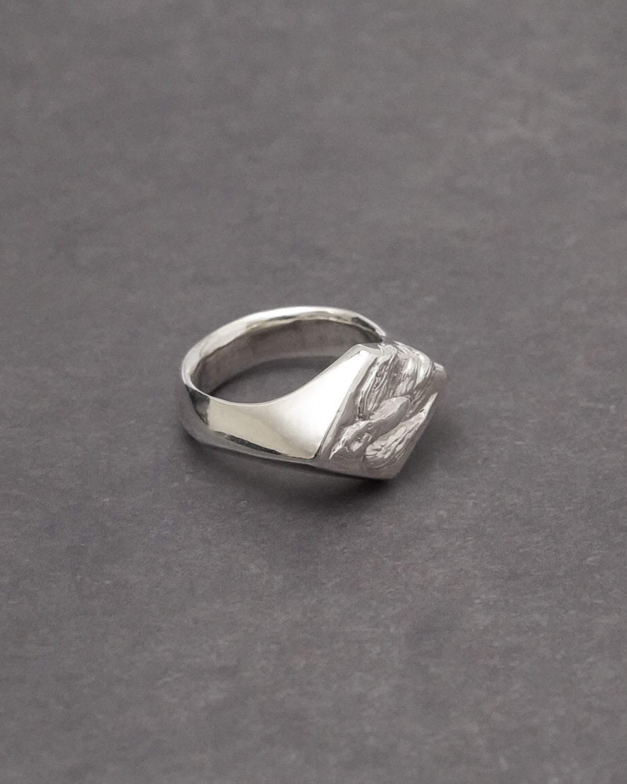 Swallow Signet Ring 【SV925】