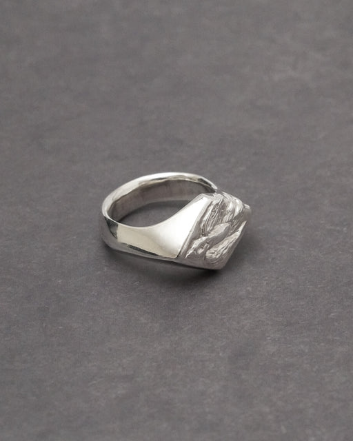Swallow Signet Ring 【SV925】