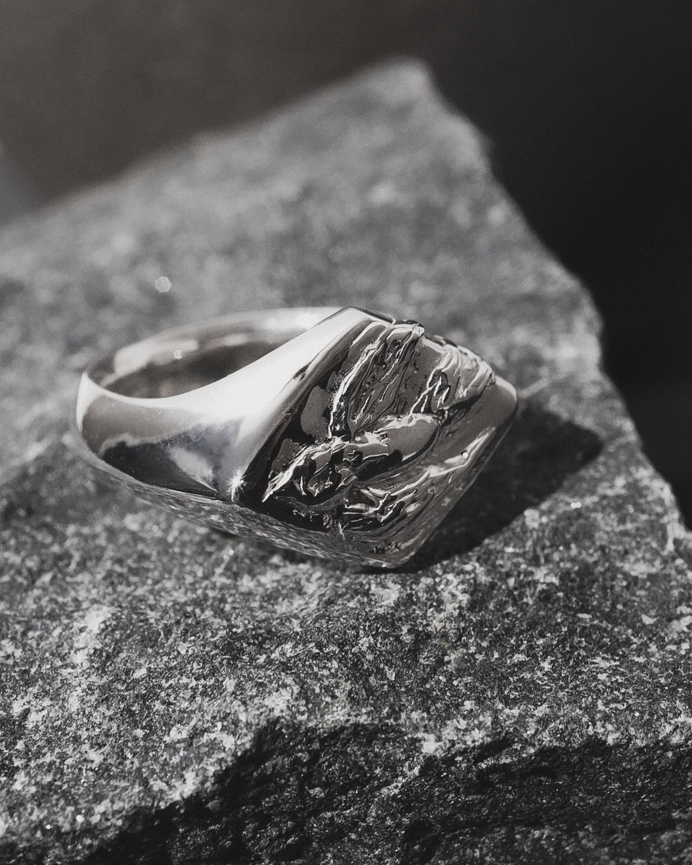 Swallow Signet Ring 【SV925】