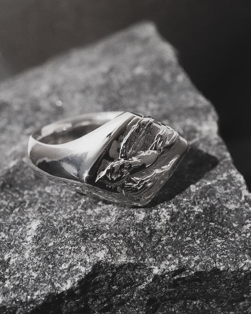 Swallow Signet Ring 【SV925】