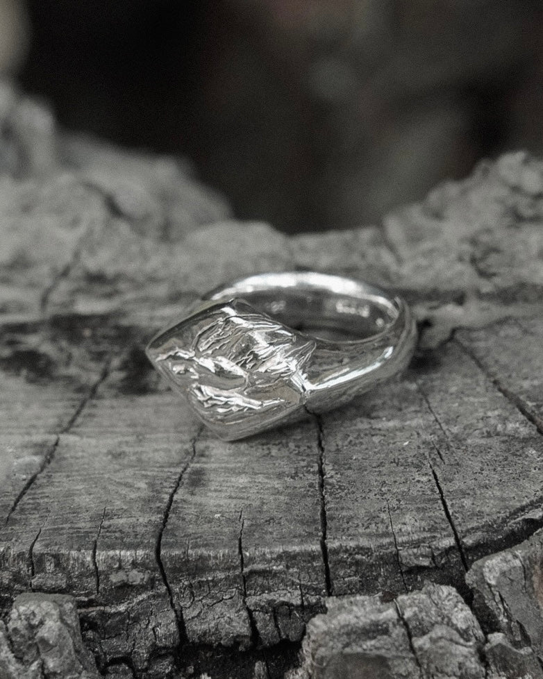 Swallow Signet Ring 【SV925】