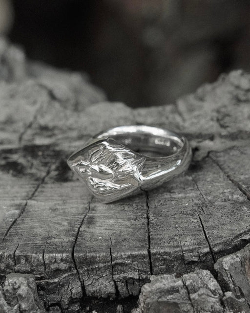 Swallow Signet Ring 【SV925】